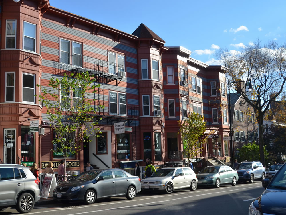 森の恵みを楽しみ、社会に還元しながら森を育てる